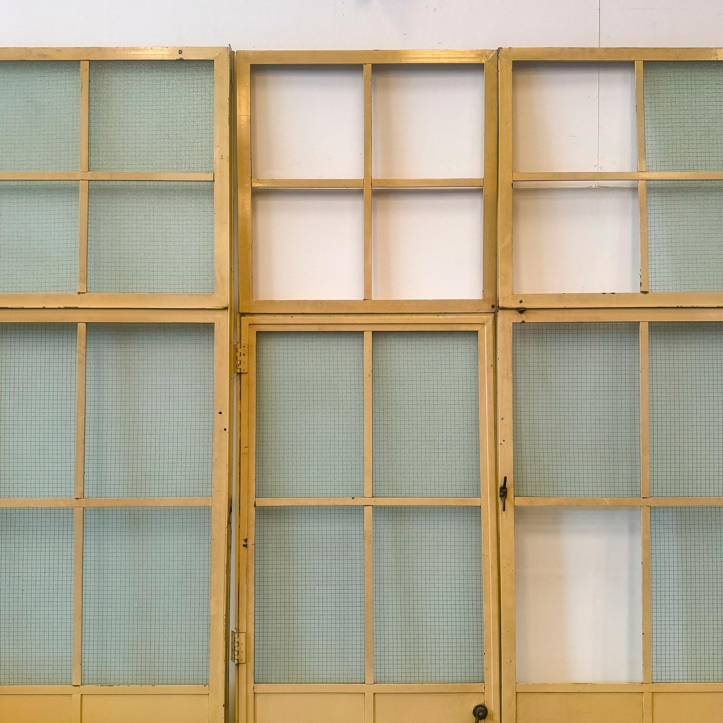 XX secolo Schermo divisorio Crittle Window - 340,5cm x 287cm in vendita
