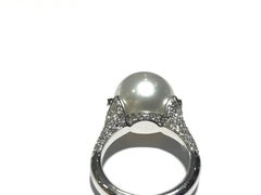 Crivelli South Sea Pearl with Diamond Setting in 18 Karat White Gold