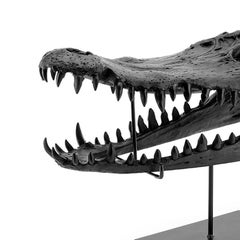 Croco Skull Sculpture in Black Finish