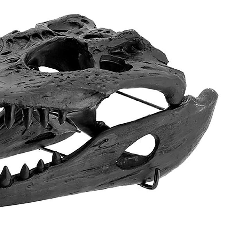 Contemporary Croco Skull Sculpture in Black Finish