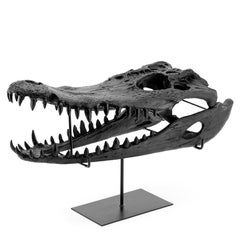 Croco Skull Sculpture in Black Finish