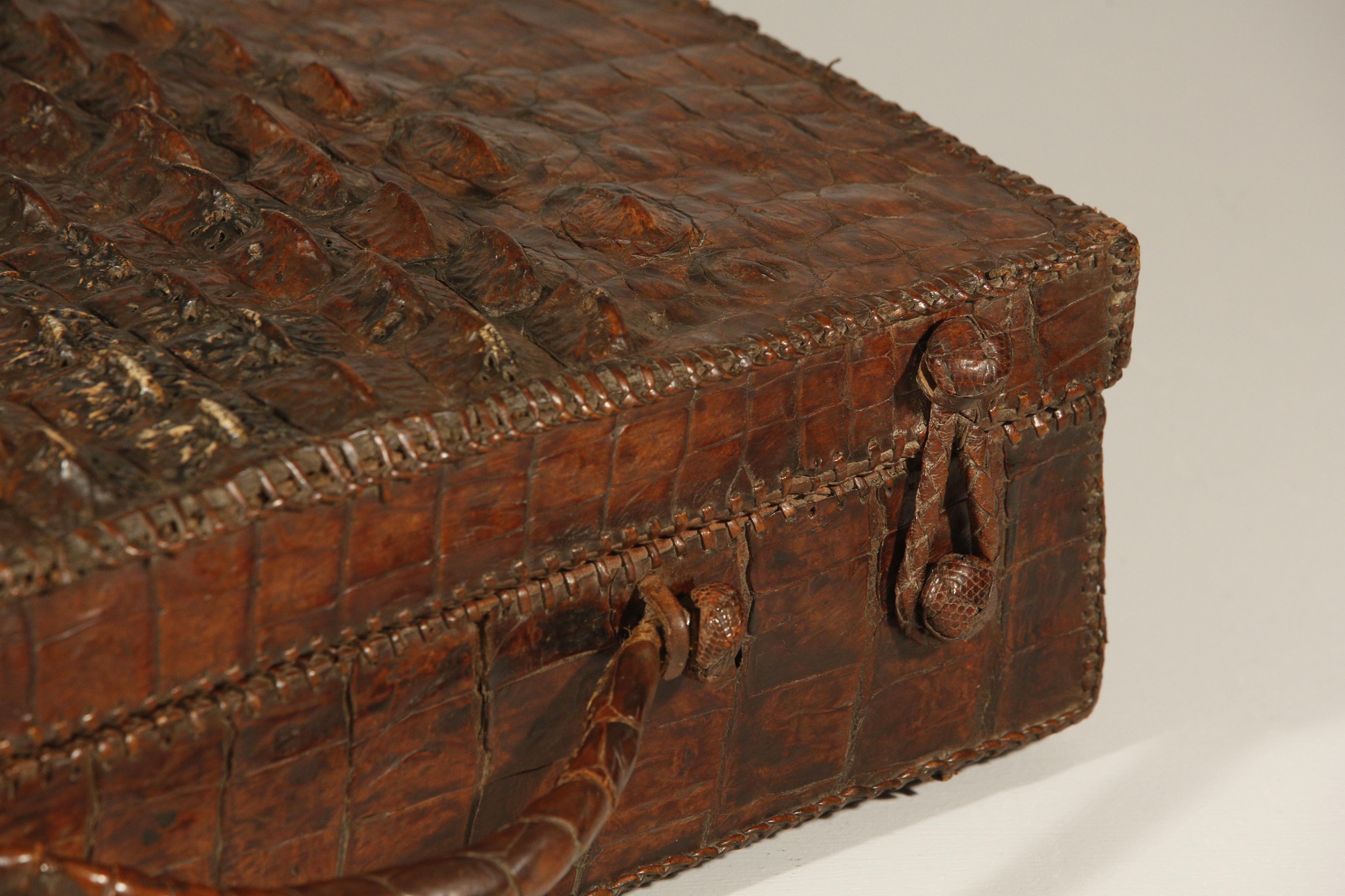 20th Century Crocodile Alligator Leather Hornback Suitcase Storage Case For Sale