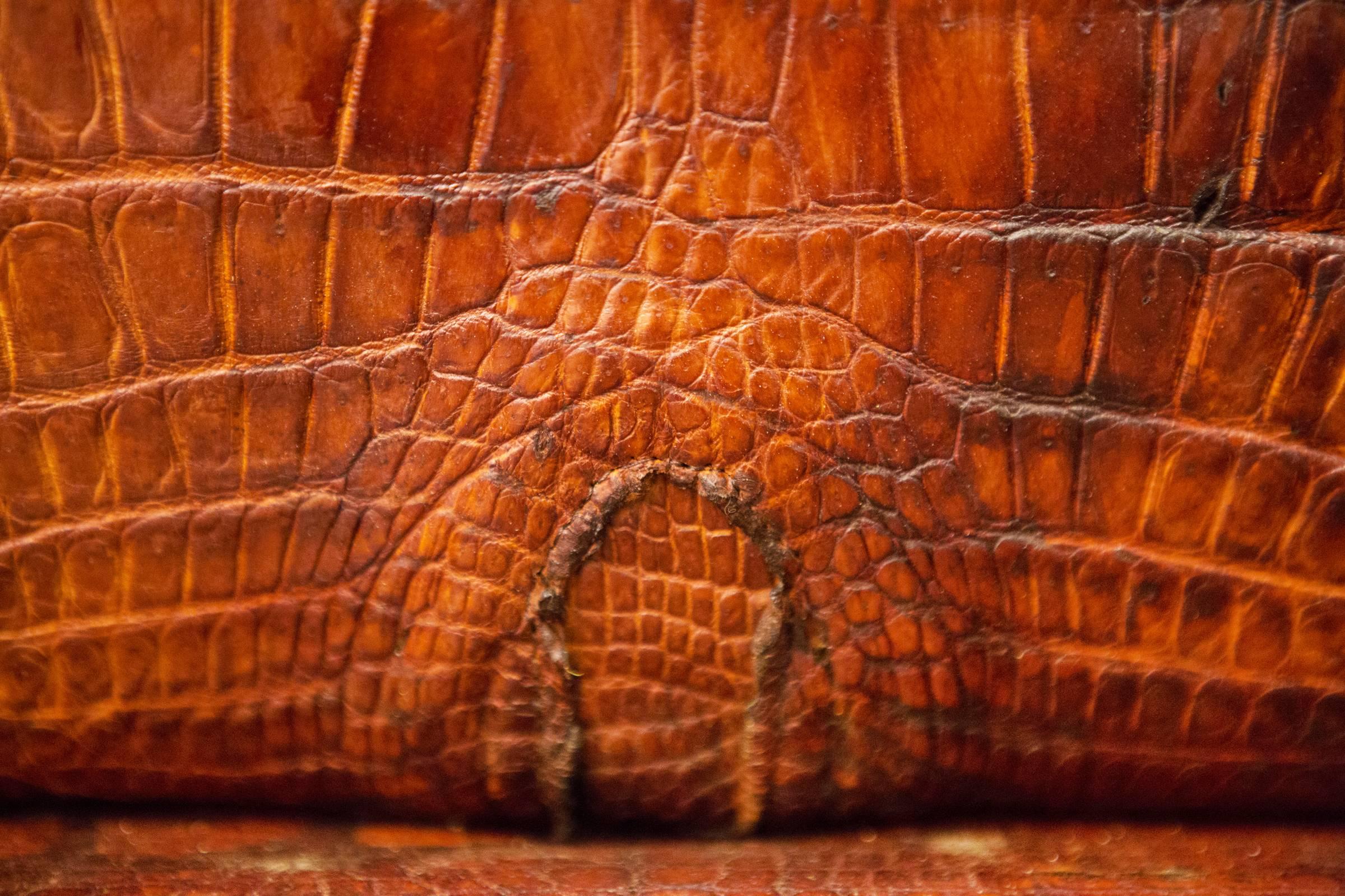Sofá Marrón Cocodrilo con Piel Real de Cocodrilo del Nilo y Cuernos Naturales en venta 7