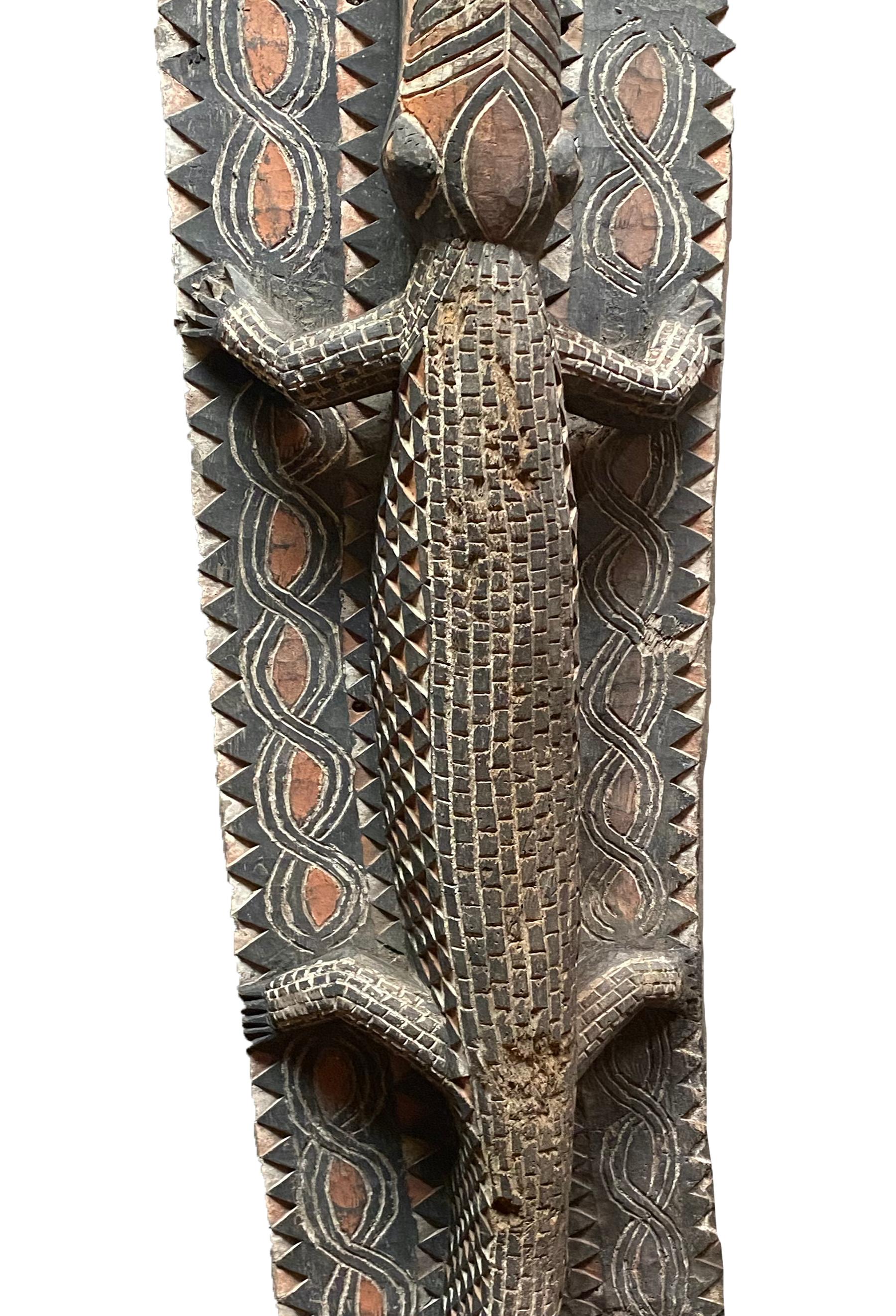 indonesia crocodile