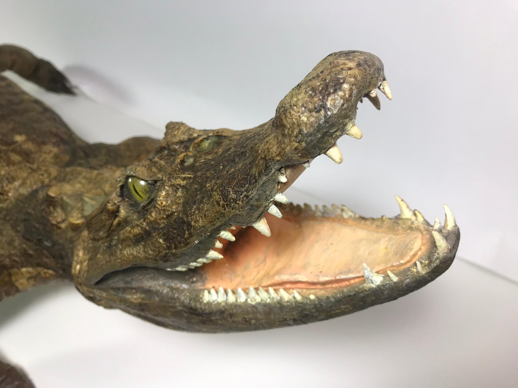 Animal Skin Crocodile Taxidermy, circa 1930 For Sale