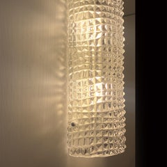 Crocodile Transparent Glass Wall Sconce