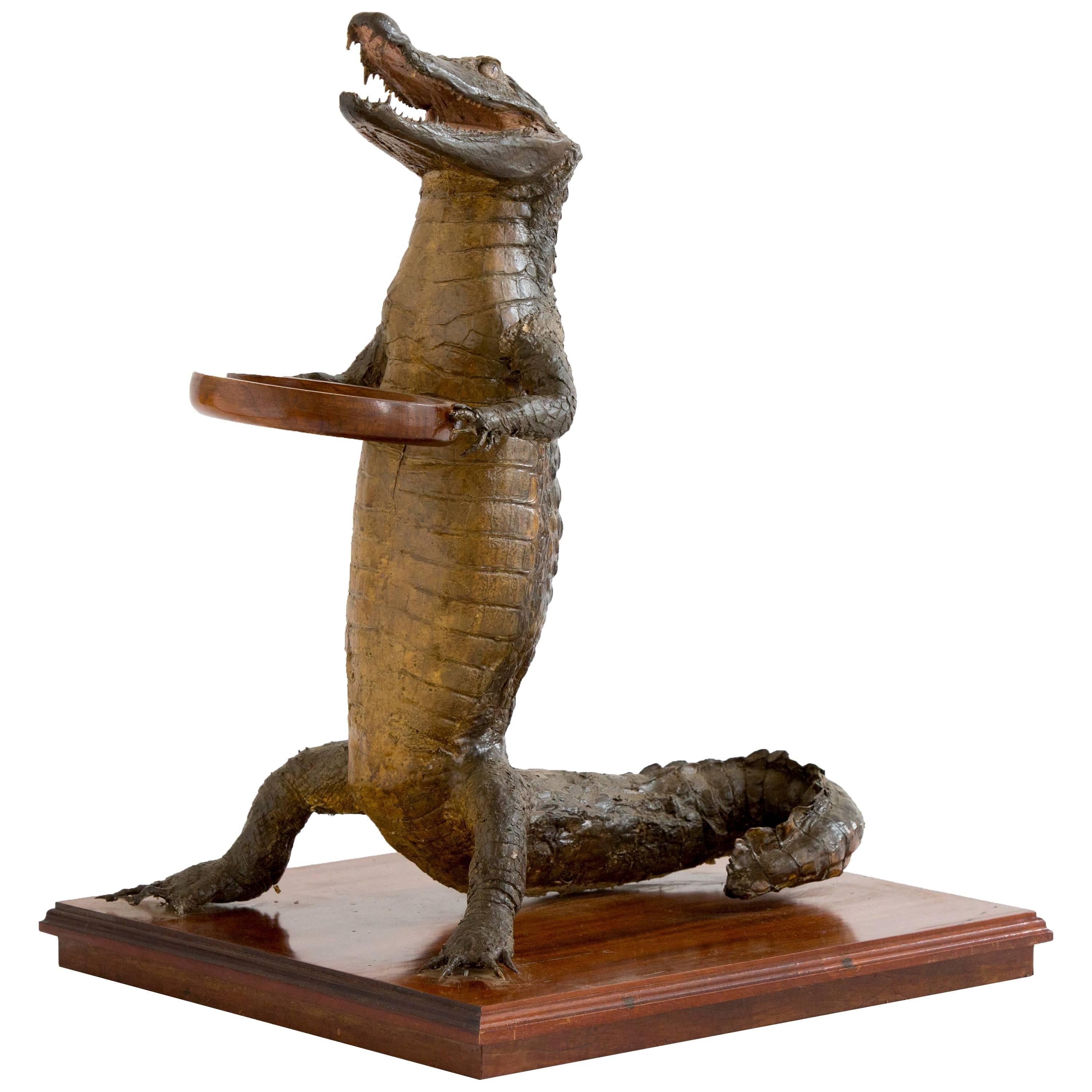Crocodile Waiter 1 For Sale