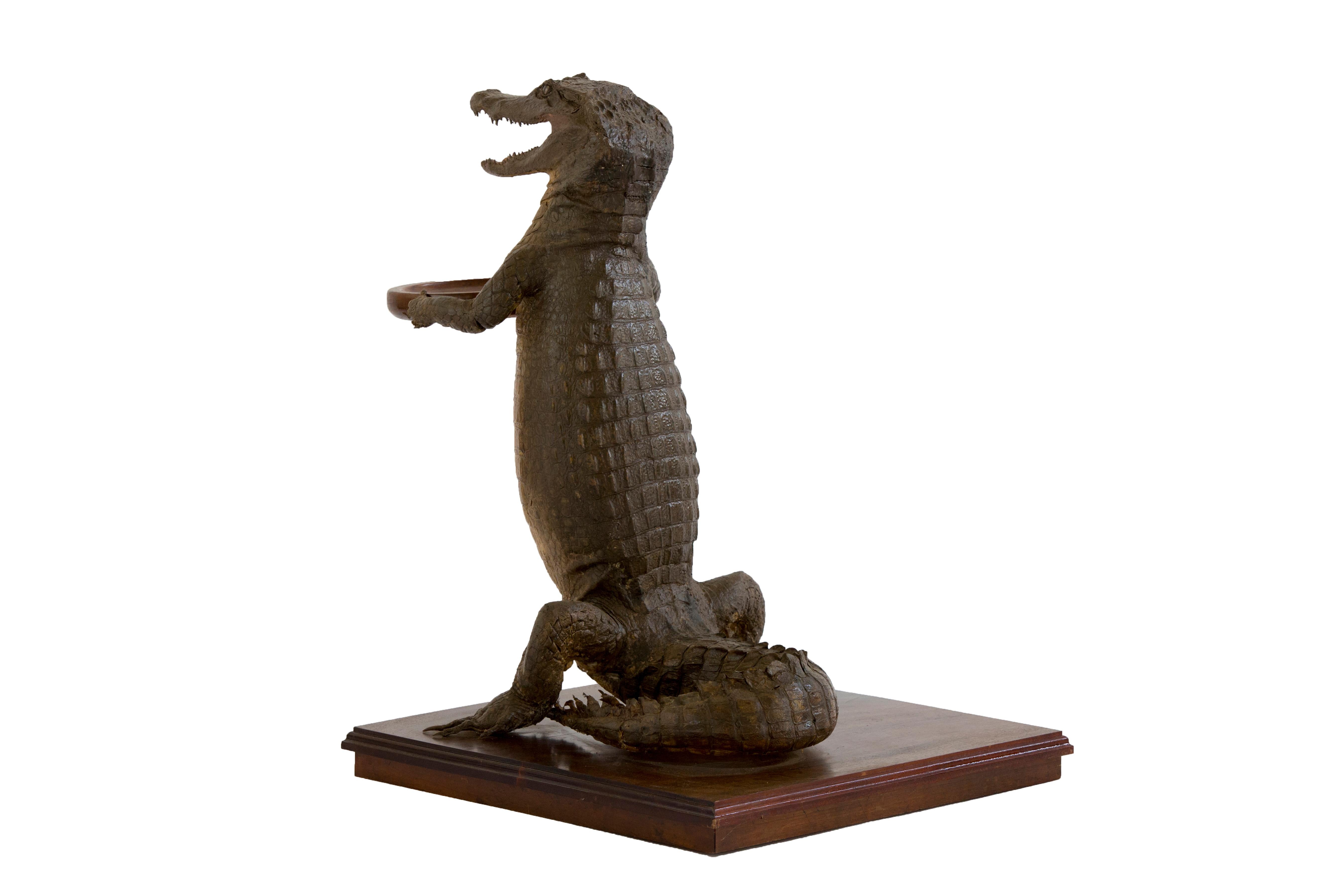 Crocodile Waiter 4 In Good Condition For Sale In Oxfordshire, GB