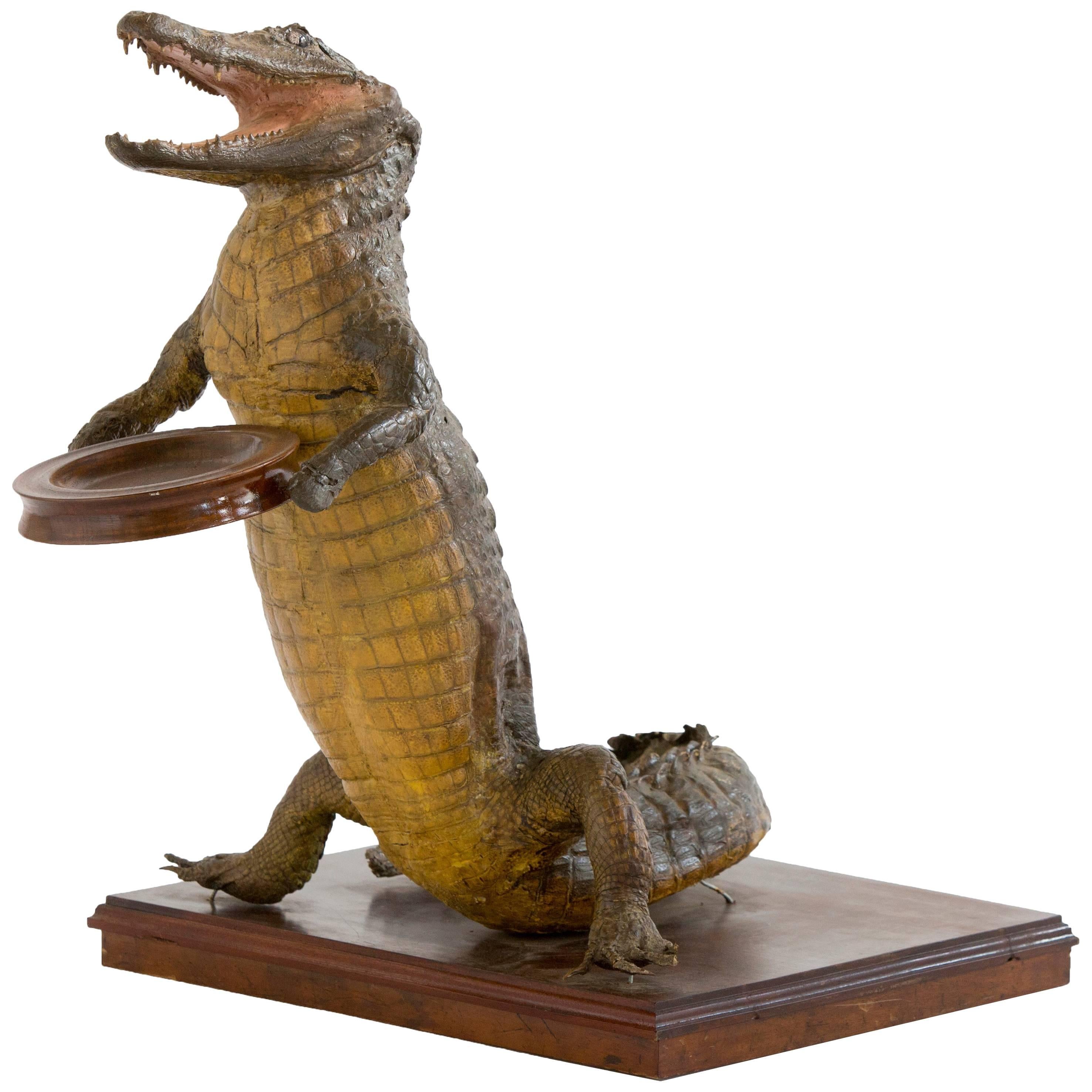 Crocodile Waiter 7 For Sale