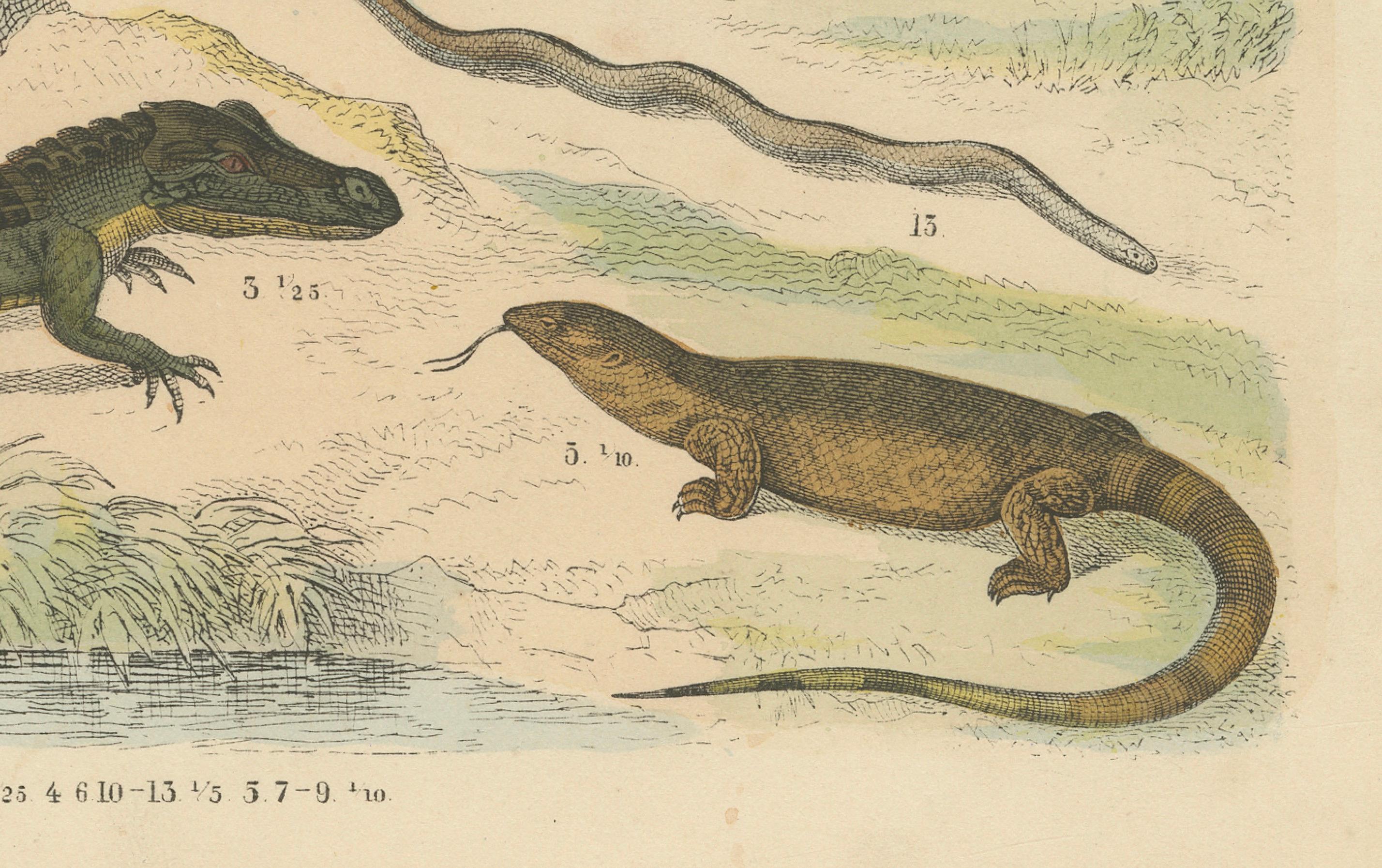Crocodiles, Lizards & Reptiles Print: Alligator, Monitor, Iguana – Antique 1867 In Good Condition For Sale In Langweer, NL