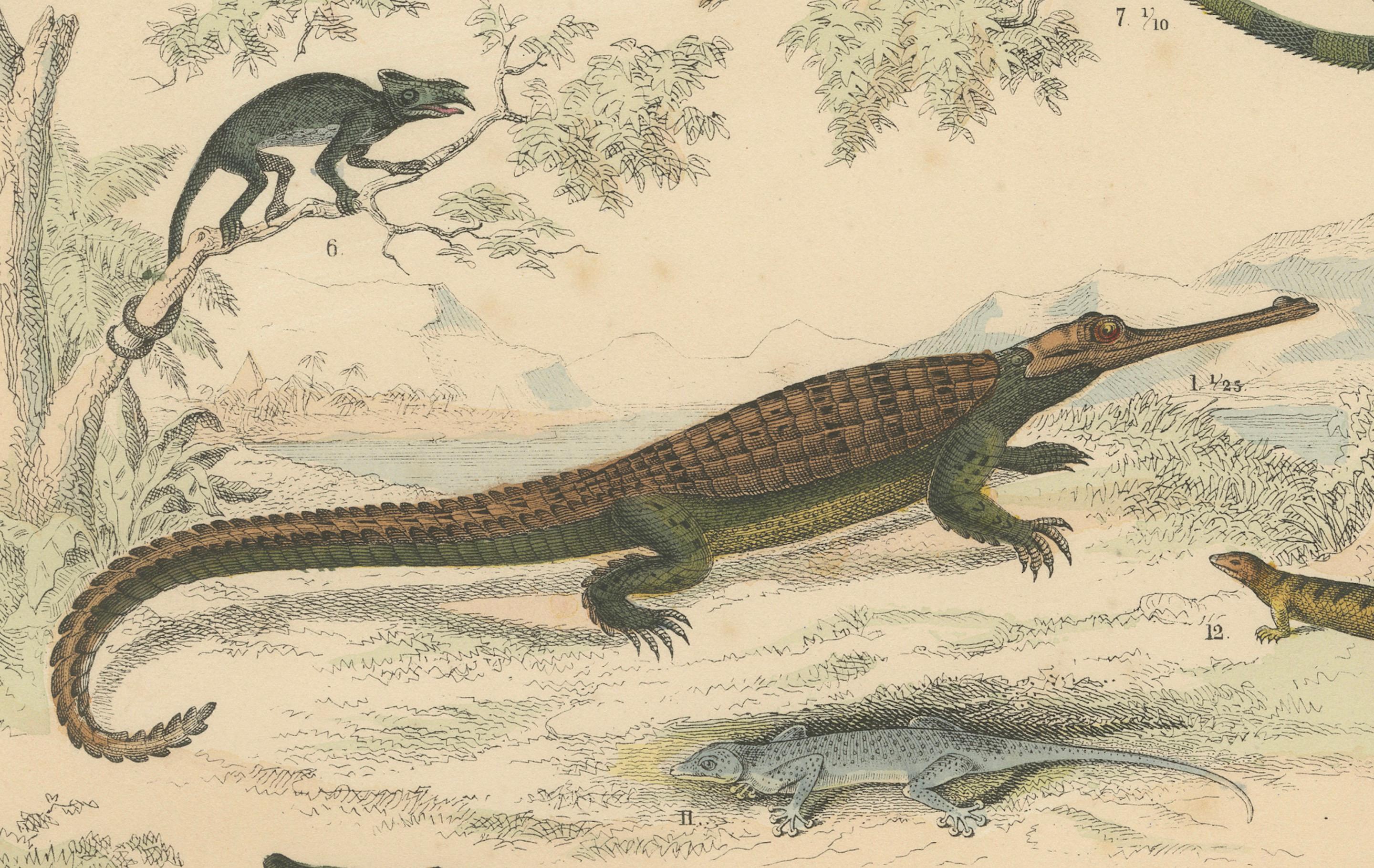Paper Crocodiles, Lizards & Reptiles Print: Alligator, Monitor, Iguana – Antique 1867 For Sale