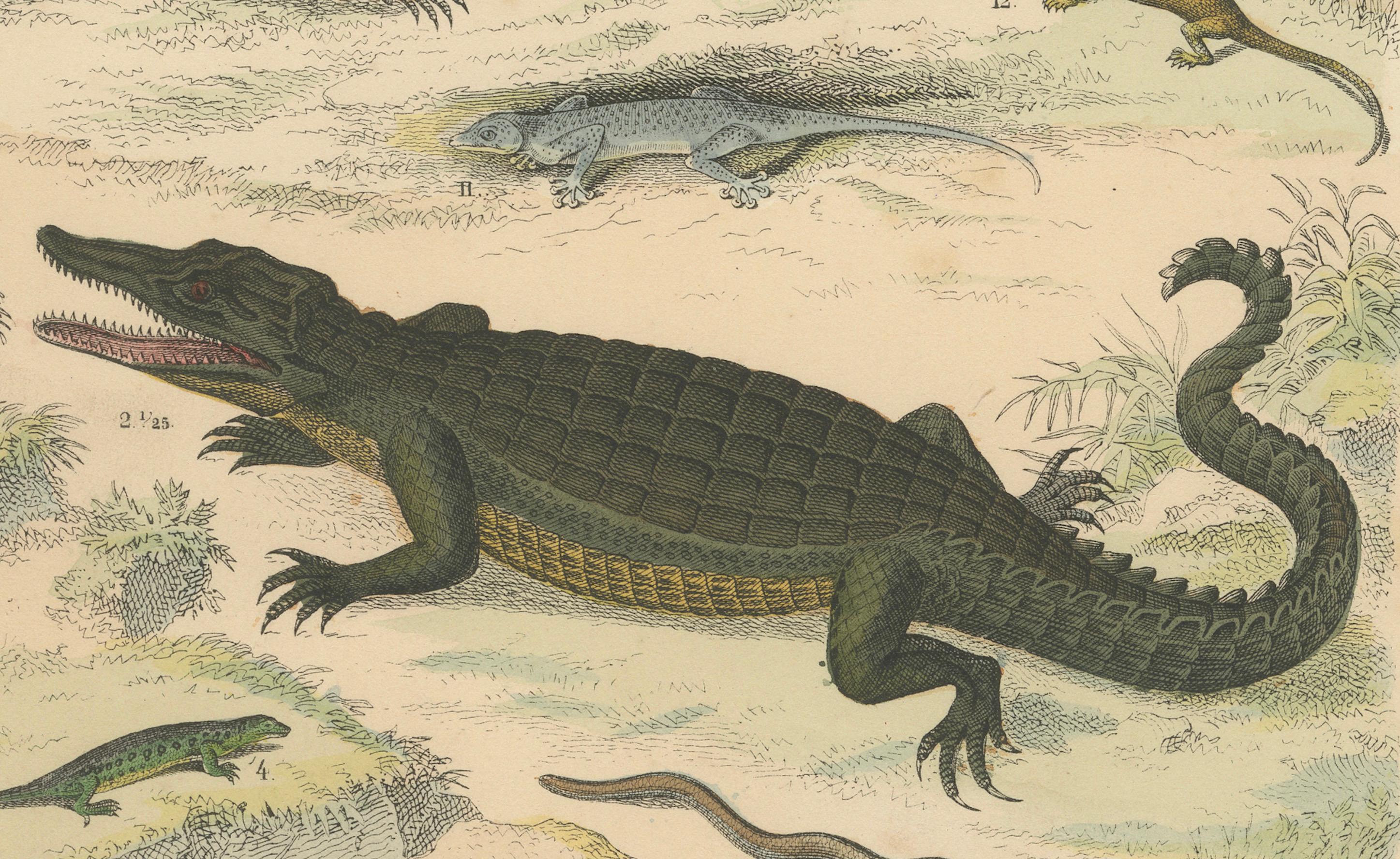 Crocodiles, Lizards & Reptiles Print: Alligator, Monitor, Iguana – Antique 1867 For Sale 1