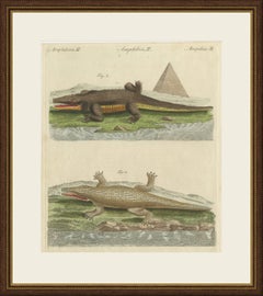 Crocodiles with an Egyptian Pyramid, Antique Bertuch Print, Vienna, circa 1805