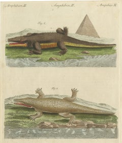 Crocodiles with an Egyptian Pyramid, Antique Bertuch Print, Vienna, circa 1805