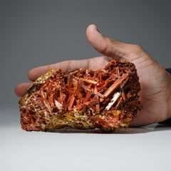Crocoite dalla miniera di piombo rosso, Dundas, Tasmania, Australia