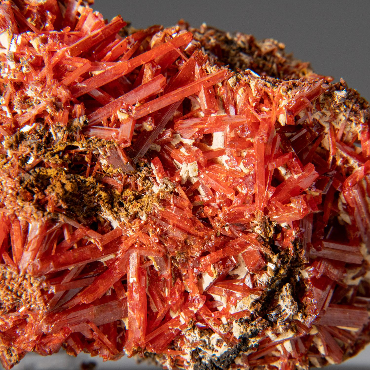 This unique red-orange Crocoite needle-like crystals from Red Lead Mine, Dundas, Tasmania, Australia. The lustrous and clean crystals have high visibility on the matrix, making this a standout piece for any mineral collection. It displays incredible