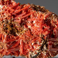 Crocoite From Red Lead Mine, Dundas, Tasmania, Australia