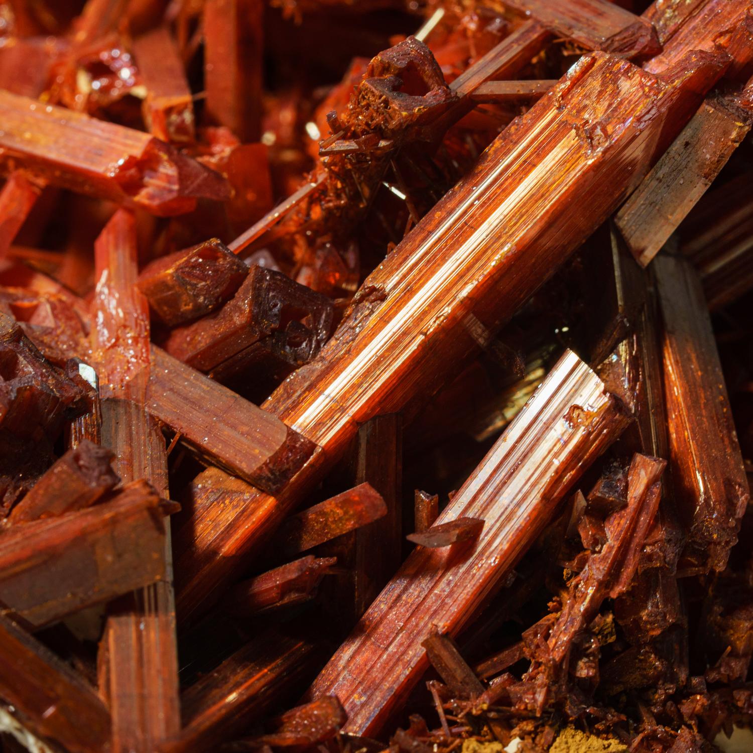 Australian Crocoite From Red Lead Mine, Dundas, Tasmania, Australia For Sale