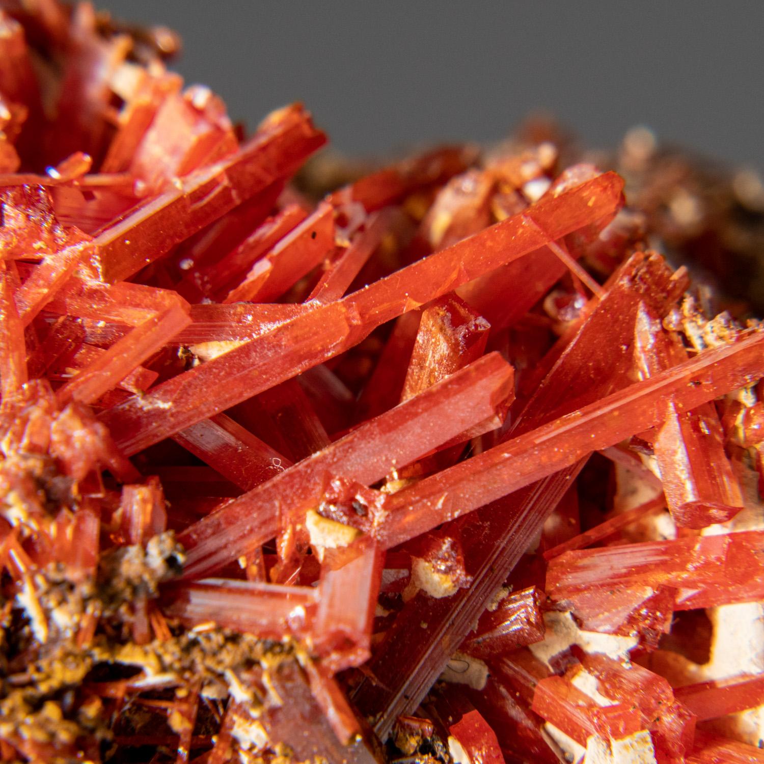 Australian Crocoite From Red Lead Mine, Dundas, Tasmania, Australia For Sale