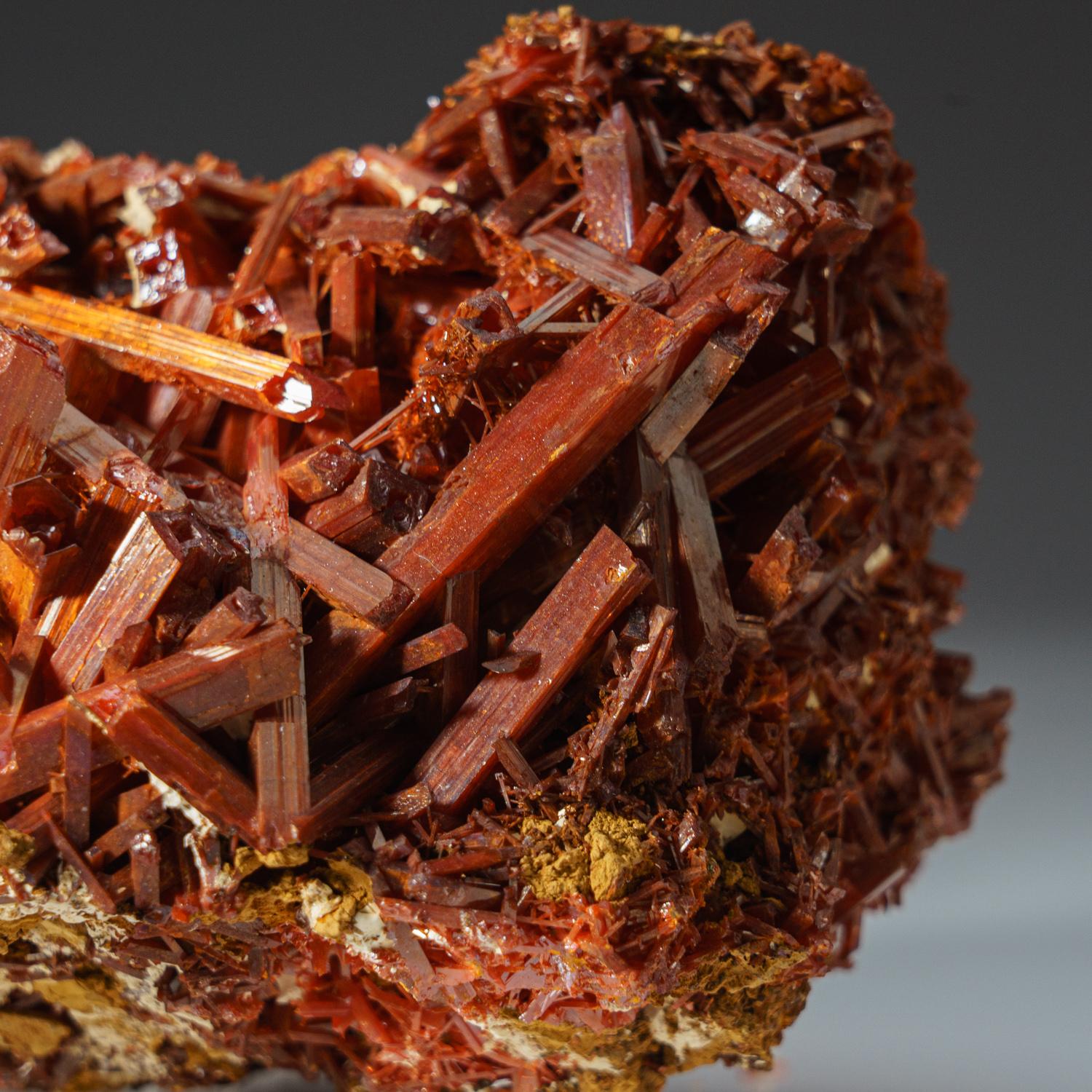 Crocoite From Red Lead Mine, Dundas, Tasmania, Australia In Excellent Condition For Sale In New York, NY