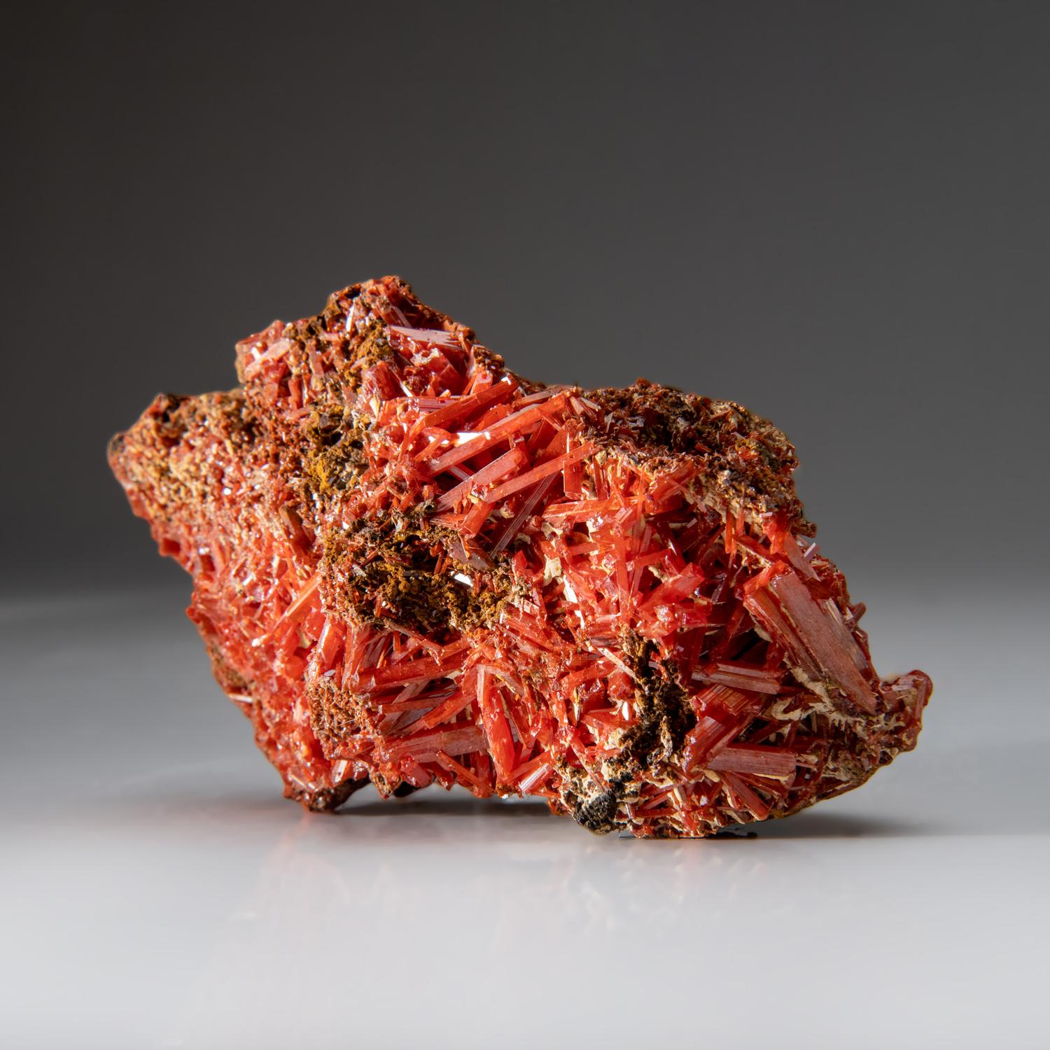 Australien Crocoite provenant de la mine de plomb rouge de Dundas, Tasmania, Australie en vente
