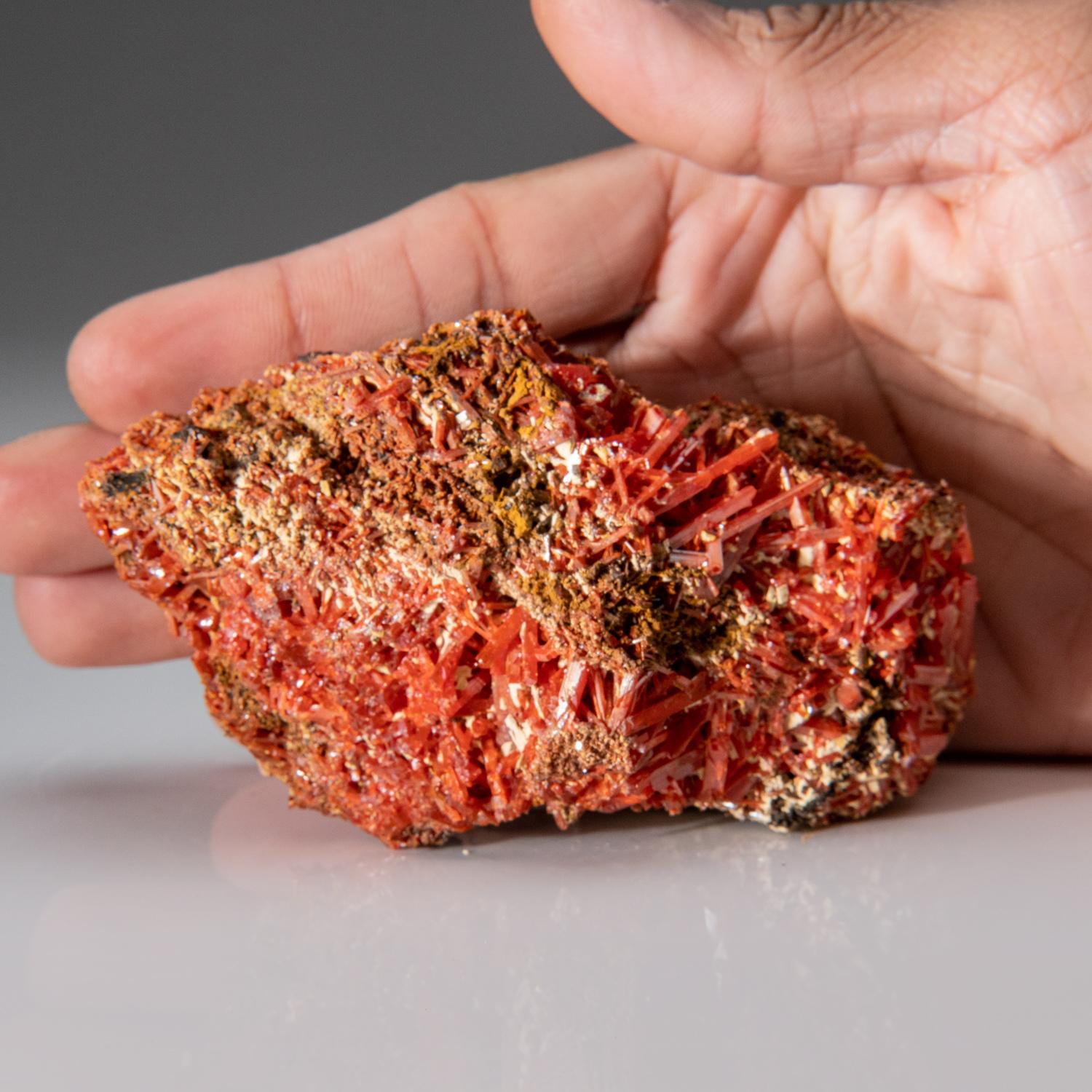 Contemporary Crocoite From Red Lead Mine, Dundas, Tasmania, Australia For Sale