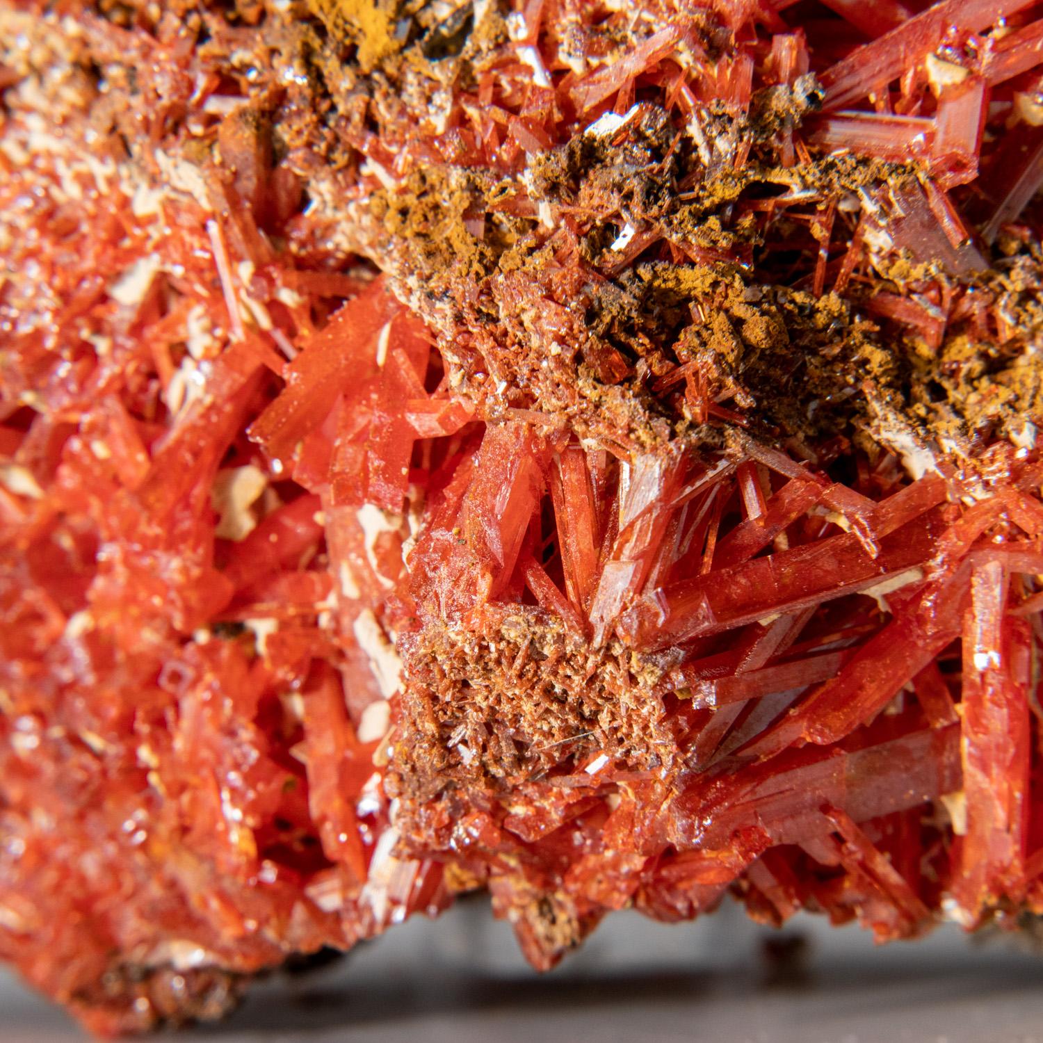 XXIe siècle et contemporain Crocoite provenant de la mine de plomb rouge de Dundas, Tasmania, Australie en vente