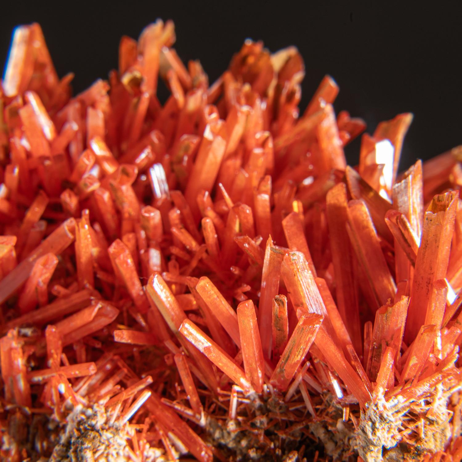 Australian Crocoite From Red Lead Mine, Dundas, Tasmania, Australia
