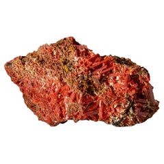 Crocoite From Red Lead Mine, Dundas, Tasmania, Australia