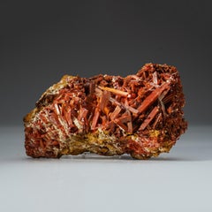 Crocoite provenant de la mine de plomb rouge de Dundas, Tasmania, Australie