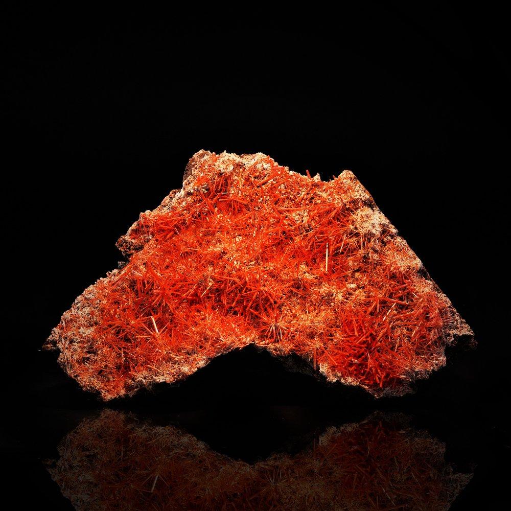 Dundas, Tasmania, Australia

This piece is a beautifully arranged large cabinet sized specimen with deep orange to red long prismatic crystals. The abundant growth of Crocoite at this size is only found in Tasmania. An excellent addition to any