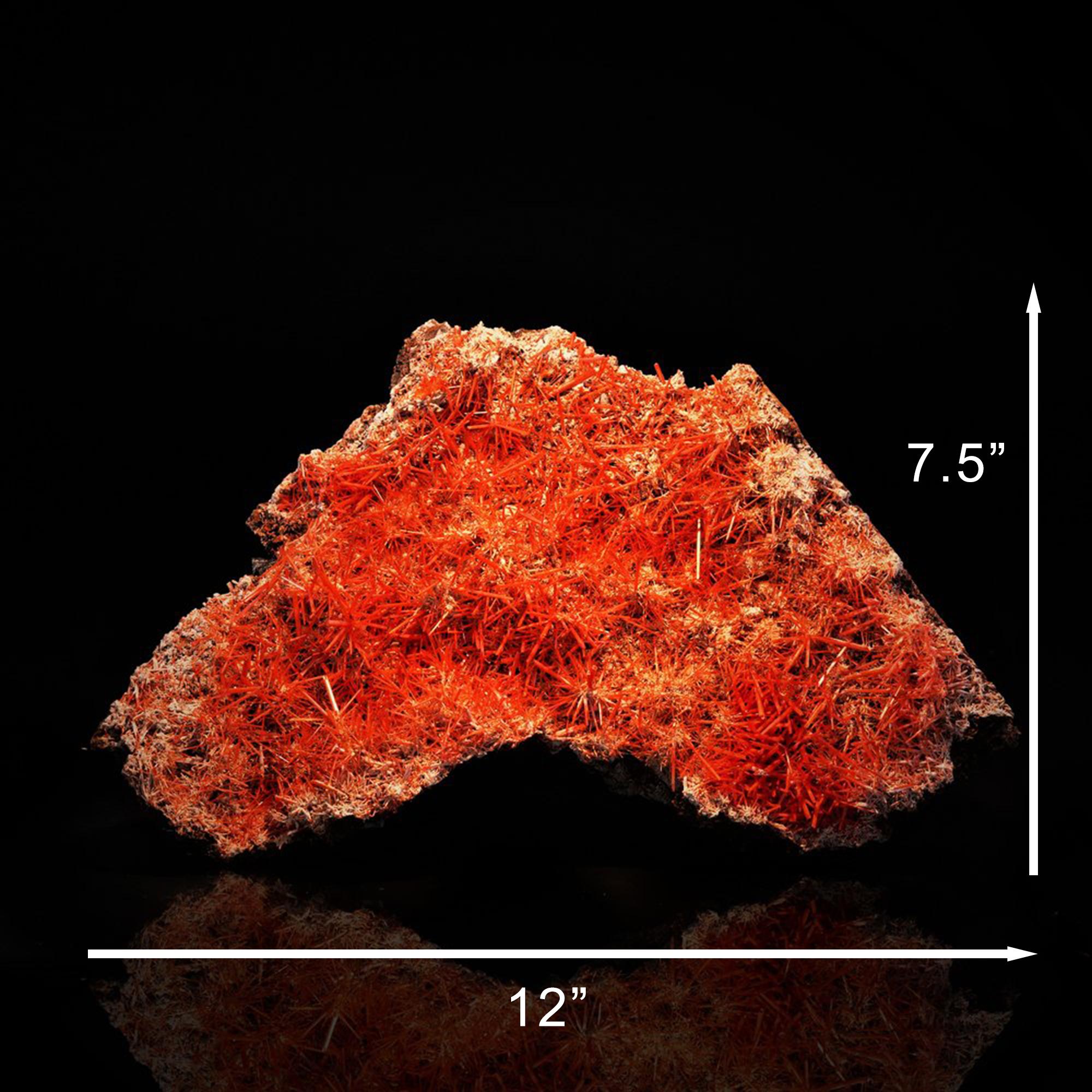 Crocoite dalla Tasmania In condizioni Nuovo in vendita a New York, NY