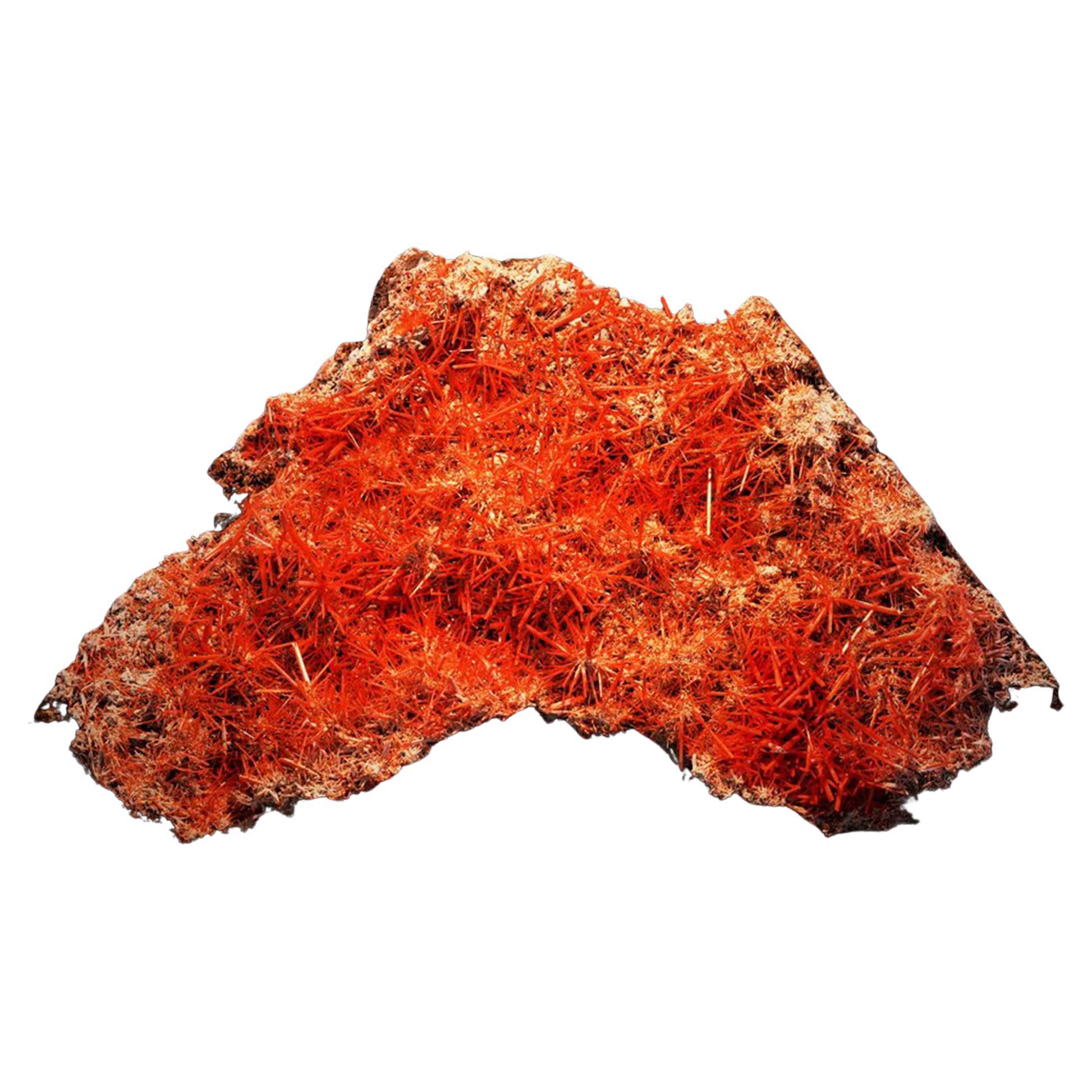 Crocoite dalla Tasmania
