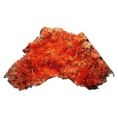 Crocoite de Tasmania