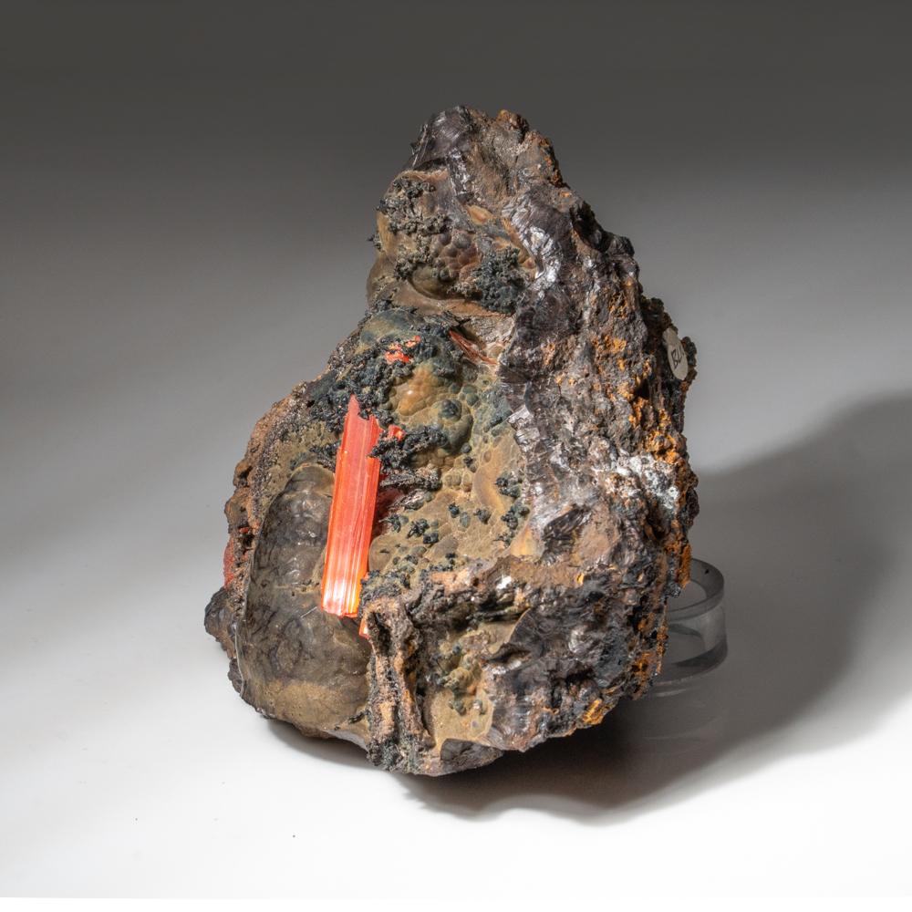 From Dundas, Tasmania, Australia Bright translucent red-orange terminated thick crocoite crystal embedded in metallic botroiydal hematite matrix. This combination of two rare minerals produces a striking, vibrant display – ideal for any