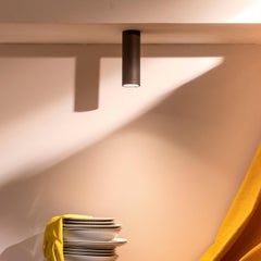 Cromia Large Brown Ceiling Lamp