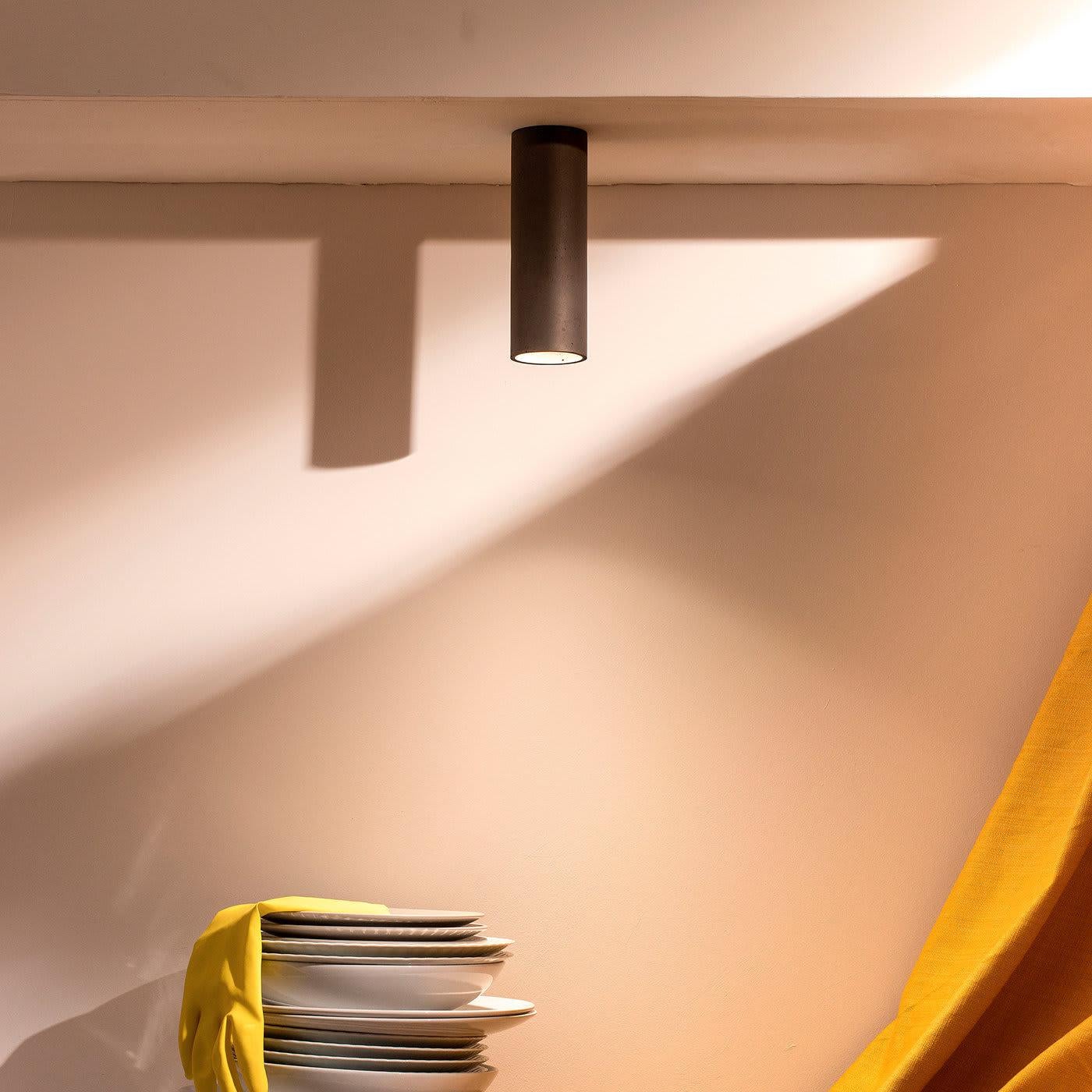 Cromia Large Brown Ceiling Lamp Siglo XXI y contemporáneo en venta