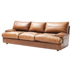 Cross 0302 Cognac Leather Sofa by Roche Bobois France