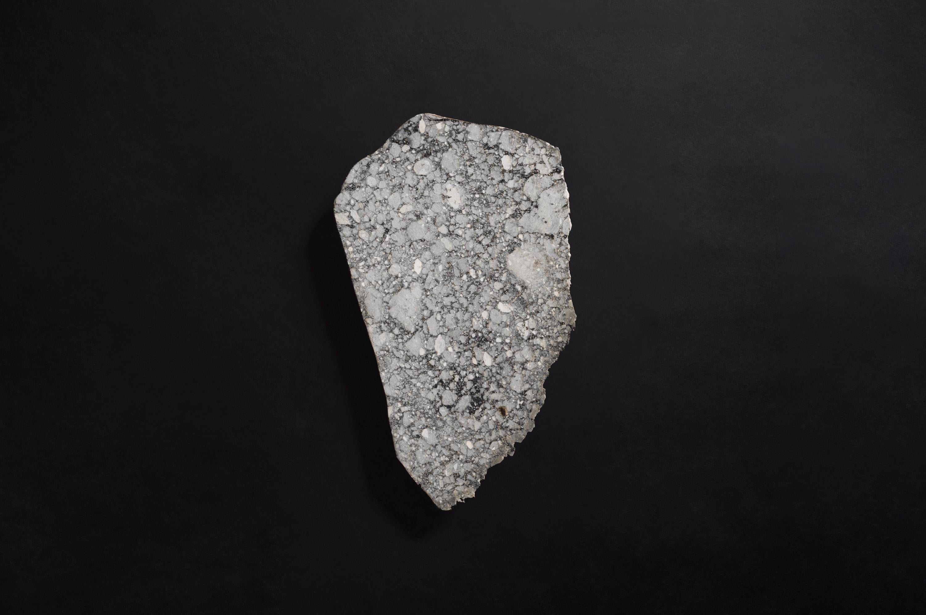 Cross-Section aus einem außergewöhnlichen Lunar Meteorit (Libysch) im Angebot