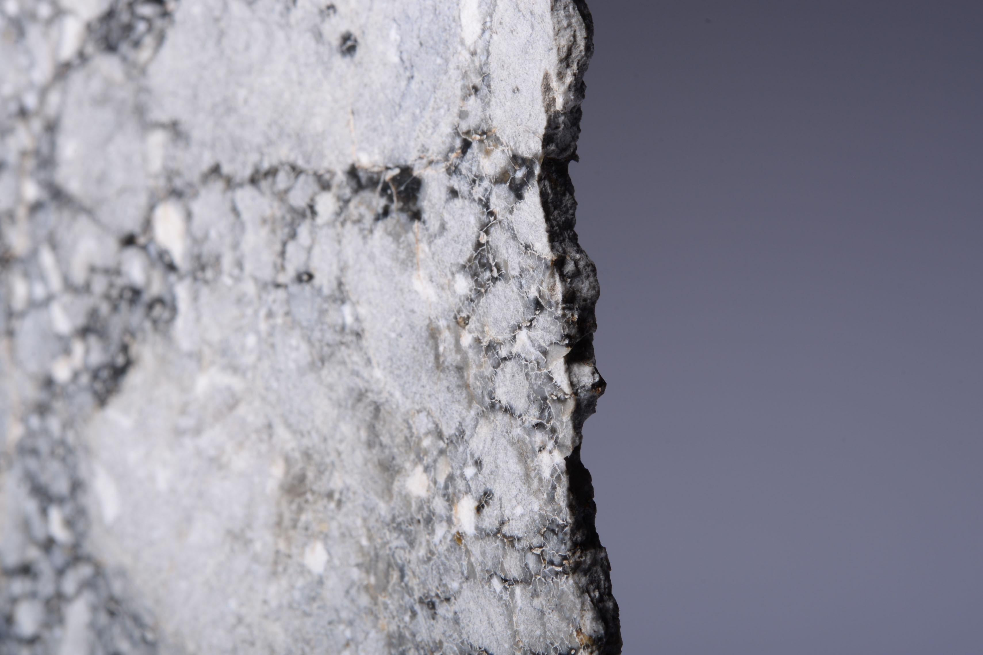 Cross-Section aus einem außergewöhnlichen Lunar Meteorit (Stein) im Angebot