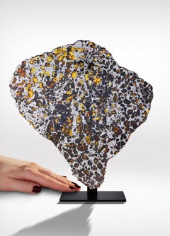 Cross-Section of Rare Meteorite with Crystals and Metal Matrix