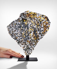 Sección transversal del meteorito Seymchan con gemas de peridoto y metal cristalizado