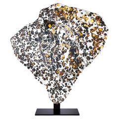 Sección transversal del meteorito Seymchan con gemas de peridoto y metal cristalizado