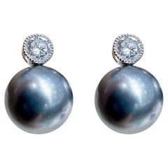 Pendientes de perla negra