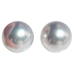 【Crown Radiance】PSL Phoenix Certified Moonlight Pair South Sea Loose Pearls