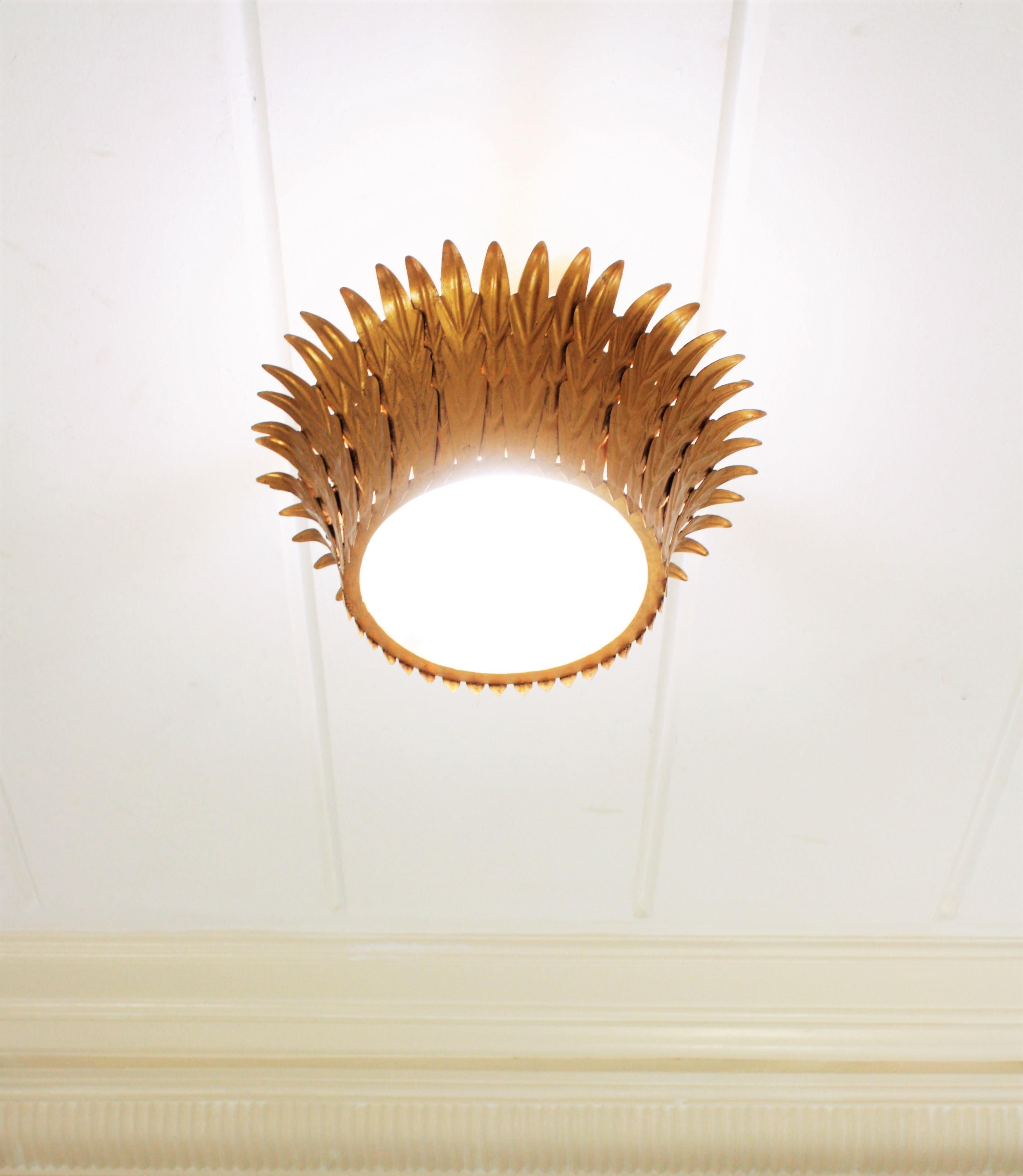 sunburst light fixture