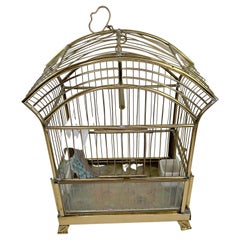 Cage à oiseaux vintage