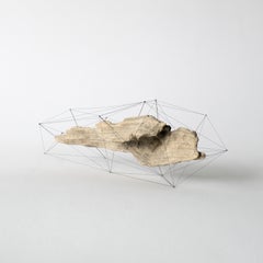 Crust of the Polygon 01 Norihiko Terayama Driftwood Sculpture