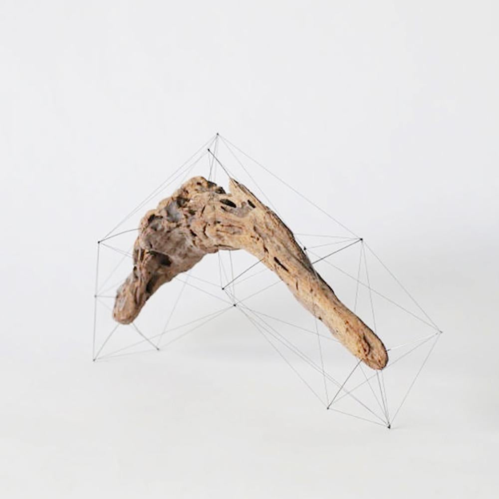 Handmade object made of drift wood, pins and threads. Pins stuck in drift wood, where their tips are tied with threads. It looks like an another crust outside the drift wood, or the three dimensional specimen.

Artist statement:
Driftwood has