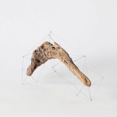 Crust of the Polygon 01 Norihiko Terayama Driftwood Sculpture